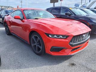 2024 Ford Mustang for sale in Bowling Green KY