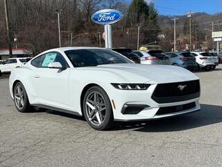 2024 Ford Mustang for sale in Waynesville NC