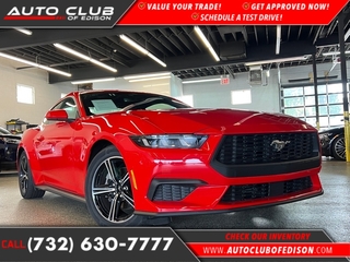 2024 Ford Mustang for sale in Woodbridge NJ