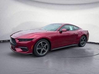 2025 Ford Mustang for sale in Knoxville TN