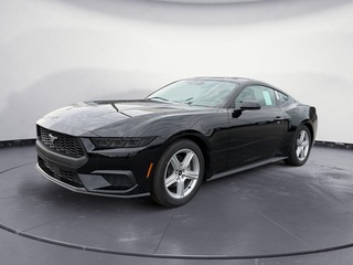 2026 Ford Mustang for sale in Knoxville TN