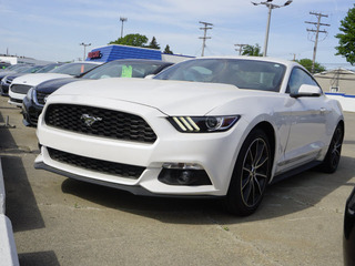 2017 Ford Mustang for sale in Roseville MI