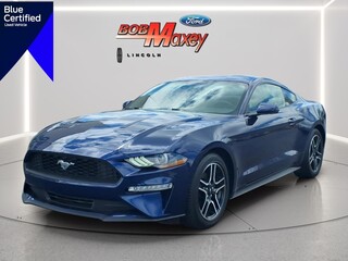 2019 Ford Mustang for sale in Detroit MI