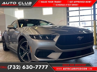 2024 Ford Mustang for sale in Woodbridge NJ