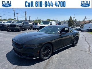2025 Ford Mustang for sale in Paoli PA