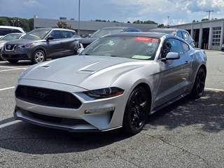 2019 Ford Mustang for sale in Forest City NC