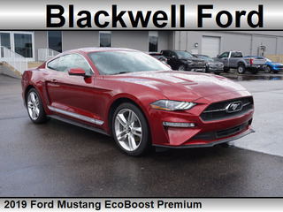 2019 Ford Mustang for sale in Plymouth MI