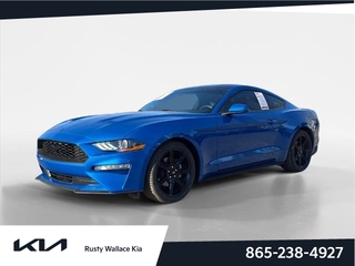 2020 Ford Mustang for sale in Louisville TN