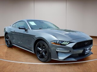 2023 Ford Mustang for sale in Winchester VA