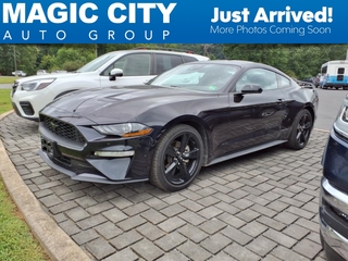 2023 Ford Mustang for sale in Roanoke VA