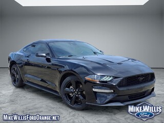 2023 Ford Mustang for sale in Orange TX