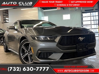 2024 Ford Mustang for sale in Woodbridge NJ