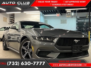 2024 Ford Mustang for sale in Woodbridge NJ