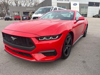 2024 Ford Mustang for sale in Glasgow KY