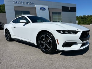 2024 Ford Mustang for sale in Glasgow KY