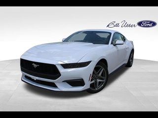 2025 Ford Mustang for sale in Denton TX