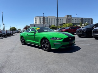 2019 Ford Mustang for sale in Knoxville TN