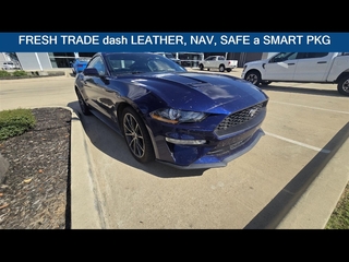 2019 Ford Mustang for sale in Dallas TX