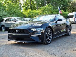 2020 Ford Mustang for sale in Belleville MI