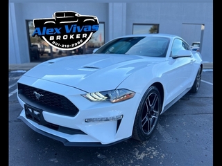 2022 Ford Mustang for sale in Memphis TN