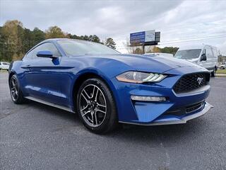 2022 Ford Mustang for sale in Cincinnati OH