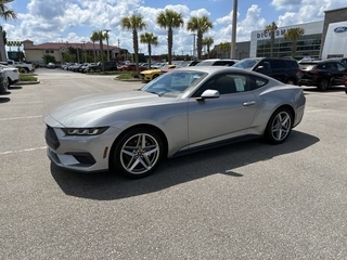 2024 Ford Mustang for sale in Cincinnati OH