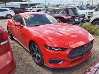 2024 Ford Mustang for sale in Greenville SC