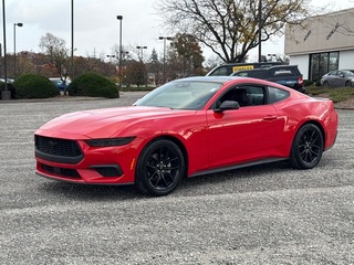 2025 Ford Mustang for sale in Louisville KY