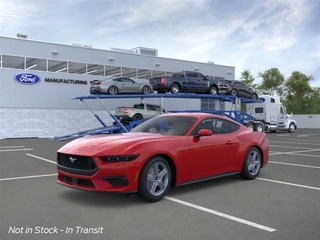2026 Ford Mustang for sale in Mcalester OK