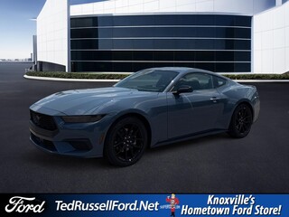 2026 Ford Mustang for sale in Knoxville TN