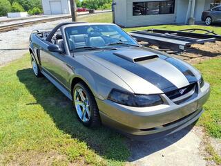 2002 Ford Mustang for sale in Guthrie KY