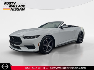 2024 Ford Mustang for sale in Knoxville TN