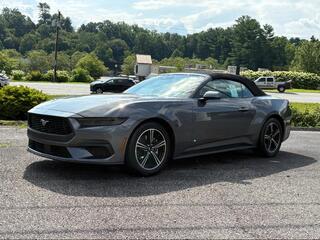 2025 Ford Mustang for sale in Brevard NC
