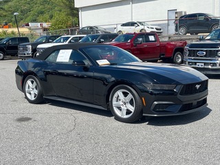 2026 Ford Mustang for sale in Canton NC