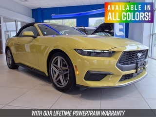 2025 Ford Mustang for sale in Mouundsville WV