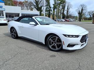 2024 Ford Mustang for sale in Roanoke VA