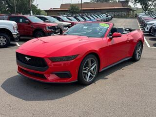 2025 Ford Mustang for sale in Janesville WI