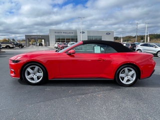 2026 Ford Mustang for sale in Dandridge TN