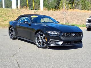 2024 Ford Mustang for sale in Charlotte NC