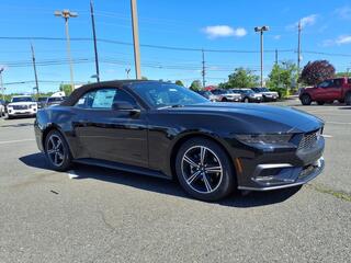 2025 Ford Mustang for sale in North Brunswick NJ