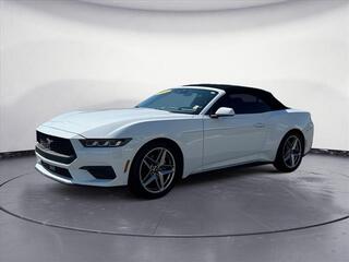 2024 Ford Mustang for sale in Knoxville TN