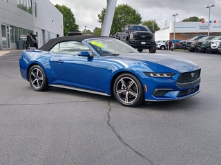 2024 Ford Mustang for sale in Greer SC