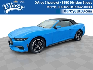 2024 Ford Mustang for sale in Olathe KS