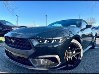 2024 Ford Mustang for sale in Louisville KY