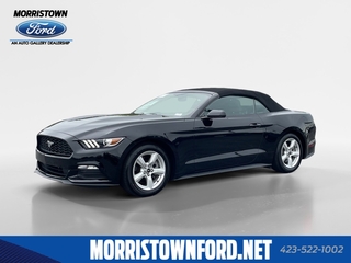 2017 Ford Mustang for sale in Morristown TN
