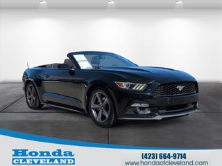 2016 Ford Mustang for sale in Cleveland TN