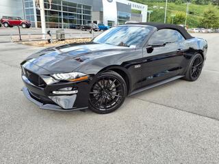 2022 Ford Mustang for sale in Bristol TN