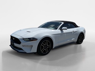 2019 Ford Mustang for sale in Morristown TN