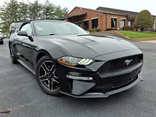 2020 Ford Mustang for sale in Clarksville TN
