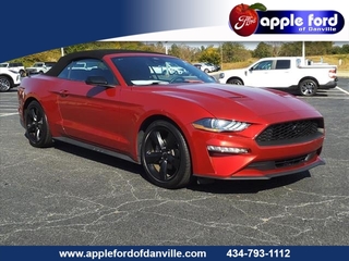 2021 Ford Mustang for sale in Danville VA